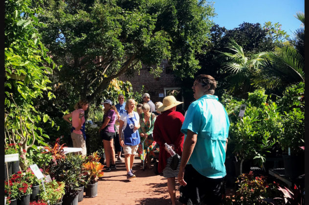 Get Involved Key West Garden Club