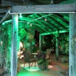 orchid arbor at night