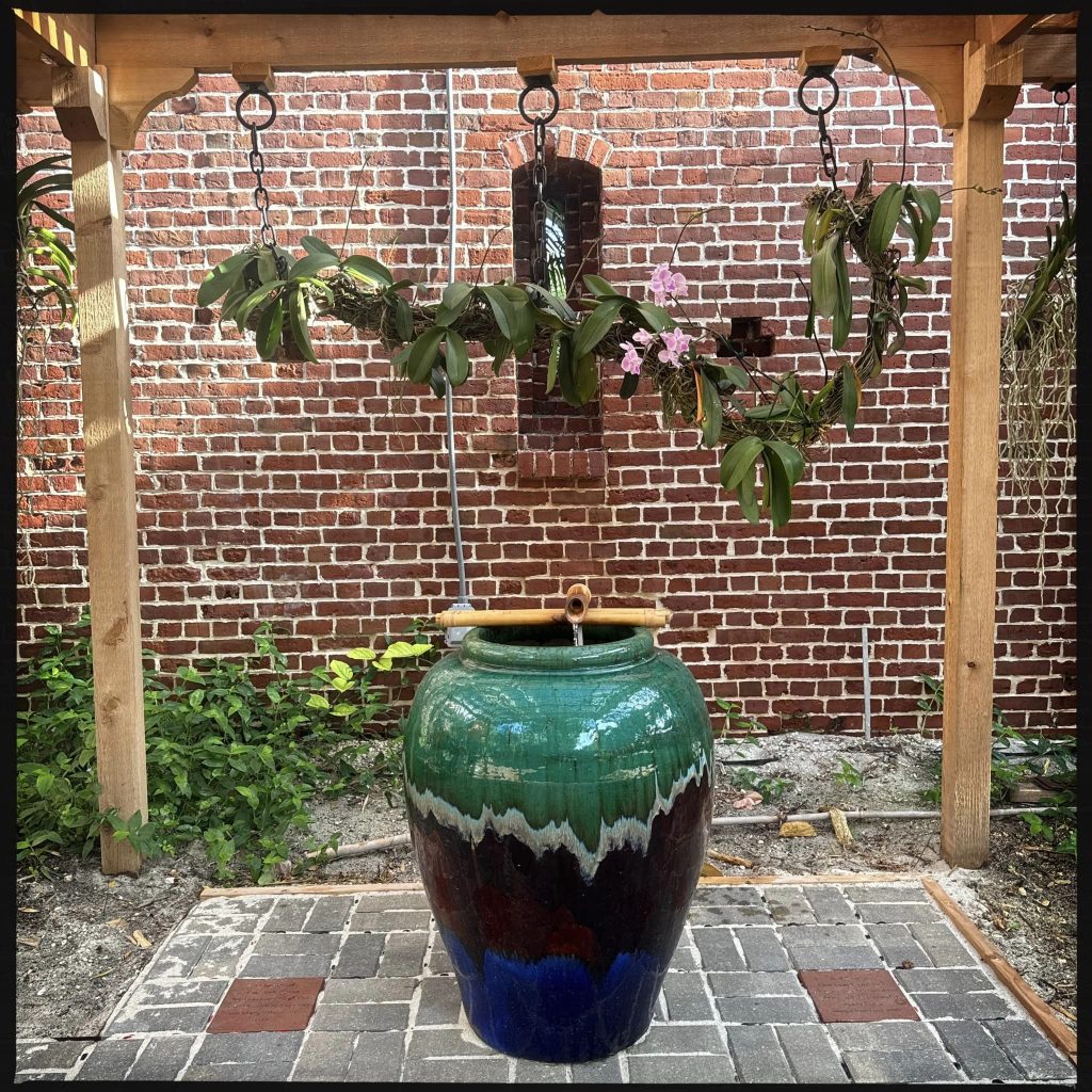 vanda arbor