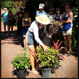 educational presentation group