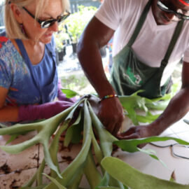 volunteers_IMG_3397-768x1024