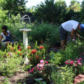 volunteers_IMG_3438-1024x768