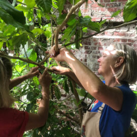 volunteers_IMG_5178-768x1024