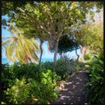 ocean view from labyrinth