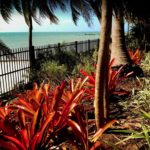 garden paradise by the sea