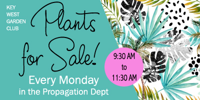 plants for sale every monday